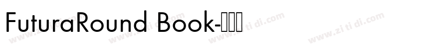 FuturaRound Book字体转换